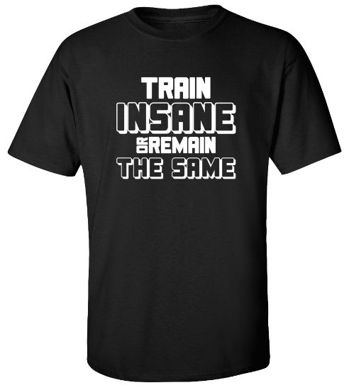 Picture of Train Insane or Remain The Same T-shirt Workout Gym Tee