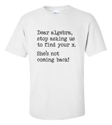 Picture of Dear Algebra T-Shirt