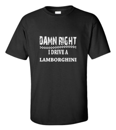 Picture of Damn Right I Drive A Lamborghini T-shirt