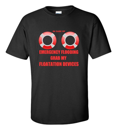 Picture of Emergency Flooding Floatation Devices T-Shirt