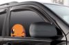 Picture of Charmander Peeking Window Vinyl Decal Anime Sticker Pokemon 6 Inches